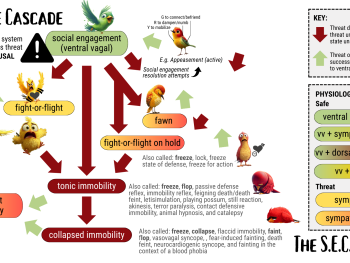 {{brizy_dc_image_alt entityId=