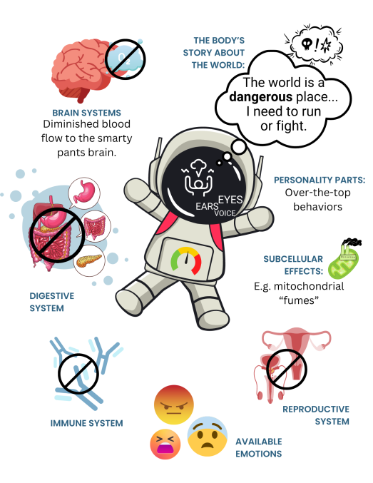 {{brizy_dc_image_alt imageSrc=